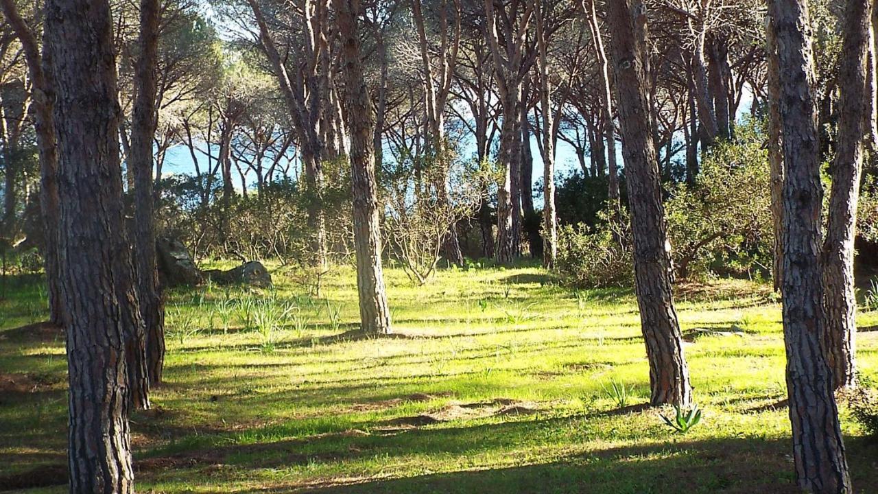 Villetta Con Giardino A Будони Экстерьер фото